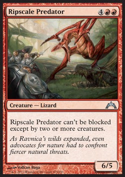 Ripscale Predator⁣ - Gatecrash⁣ (Uncommon)⁣ [103]