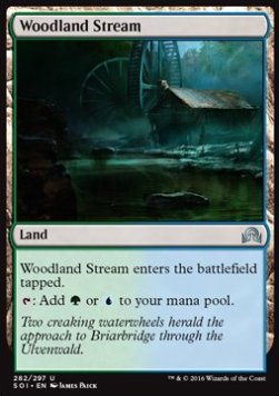 Woodland Stream⁣ - Shadows over Innistrad⁣ (Uncommon)⁣ [282]