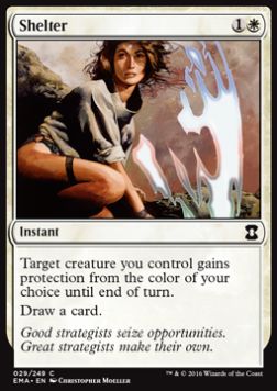 Shelter⁣ - Eternal Masters⁣ (Common)⁣ [29]