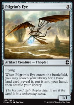 Pilgrim's Eye⁣ - Eternal Masters⁣ (Common)⁣ [229]