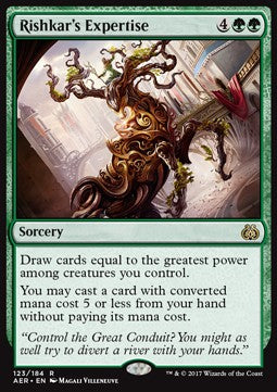 Rishkar's Expertise⁣ - Aether Revolt⁣ (Rare)⁣ [123]